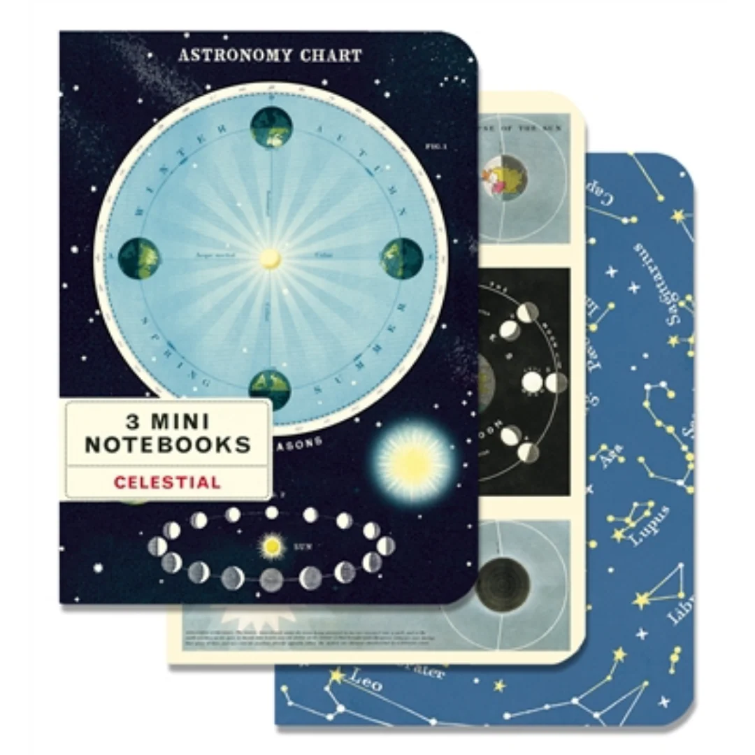 Cavallini & Co. 3 Mini Notebooks - Celestial