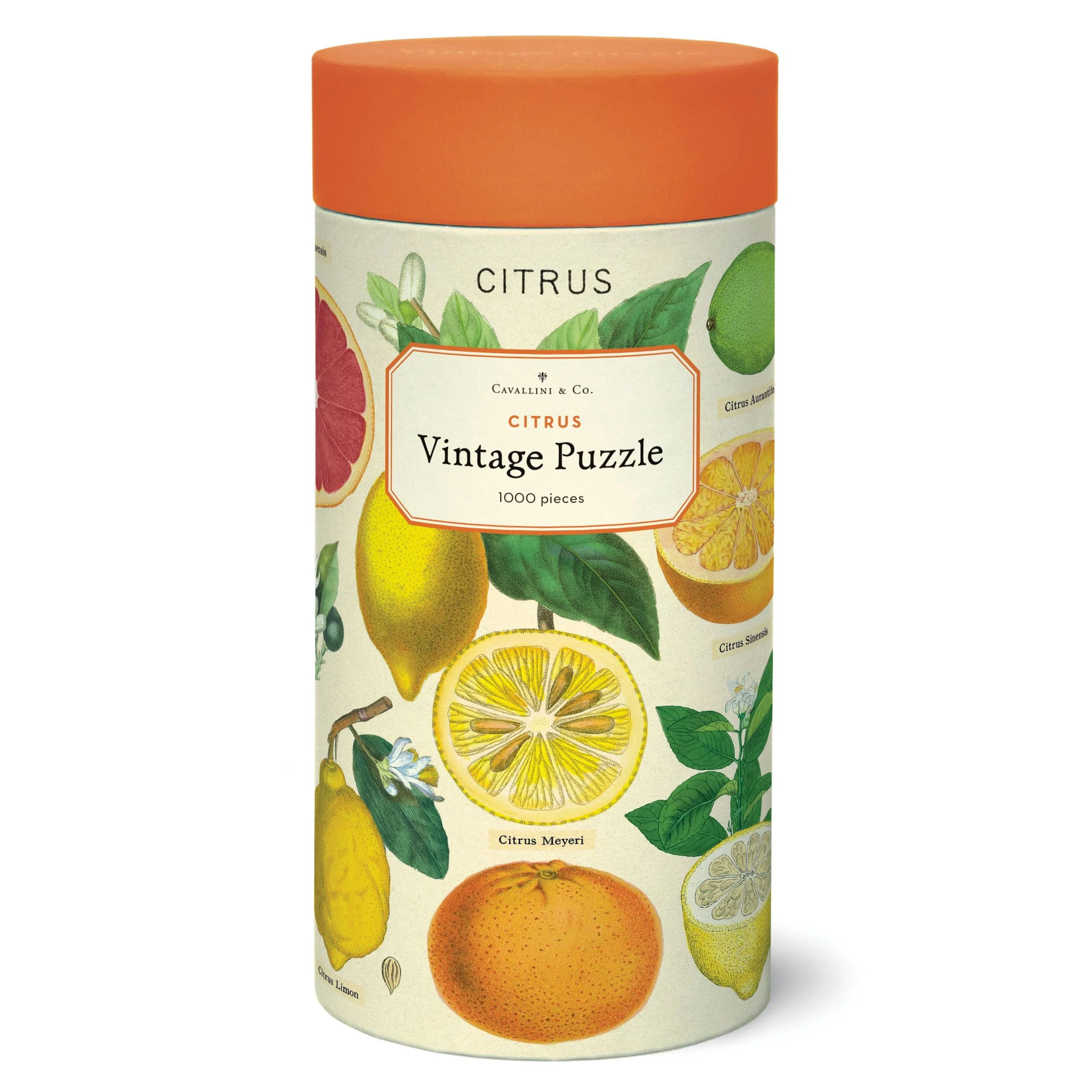 Cavallini & Co. 1000 Piece Puzzle - Citrus
