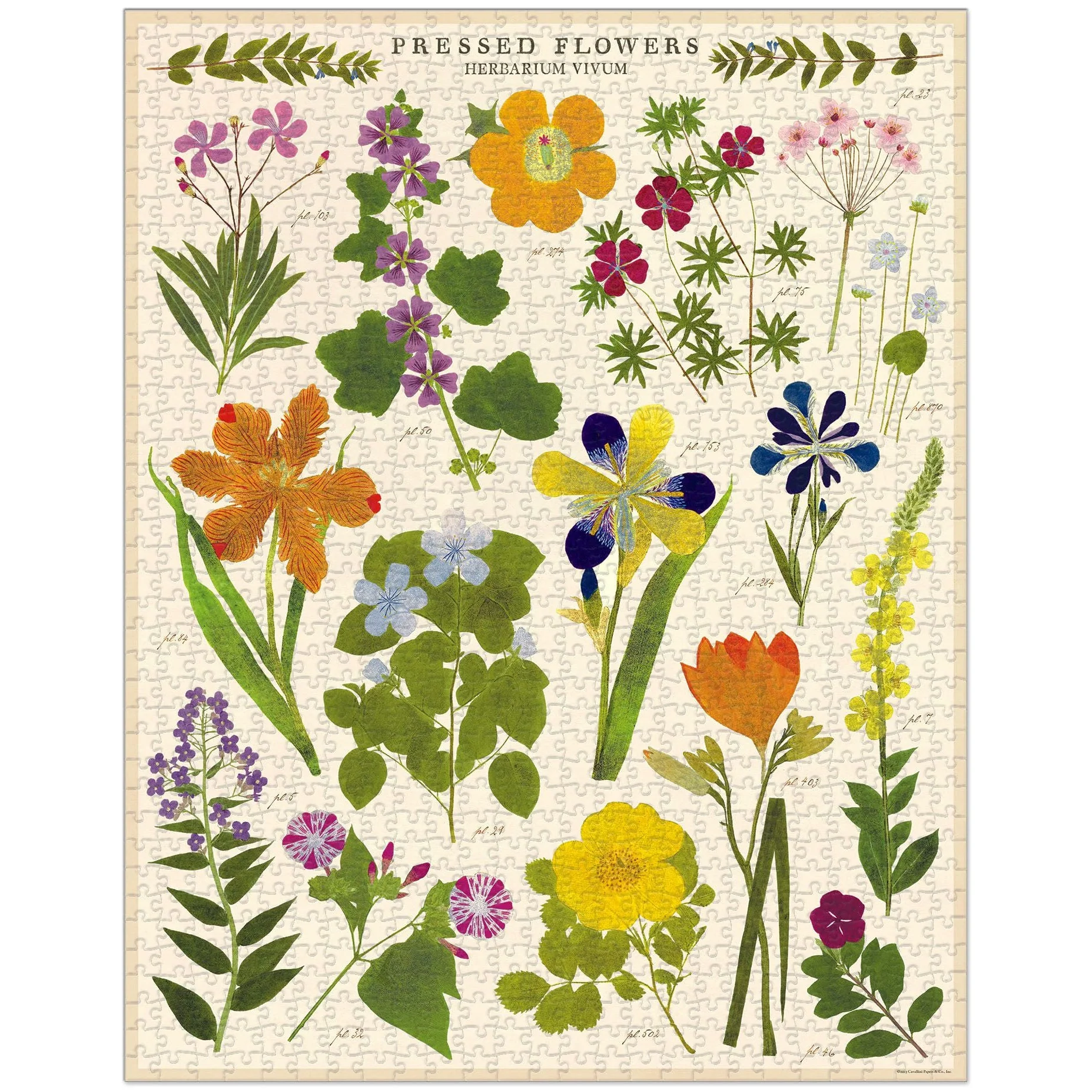 Cavallini & Co. 1000 Piece Puzzle - Pressed Flowers - Image 3