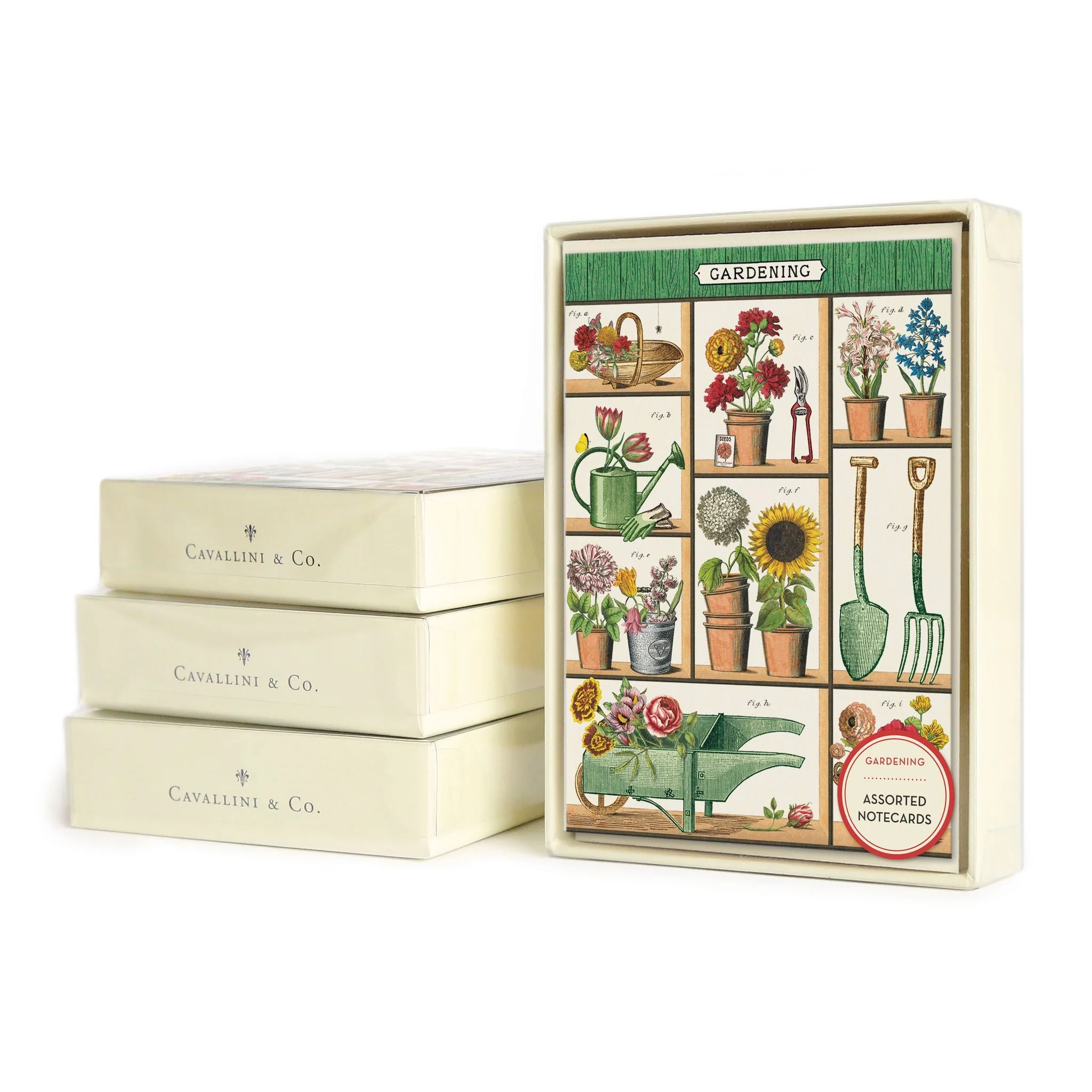 Cavallini & Co. Boxed Note Cards - Gardening