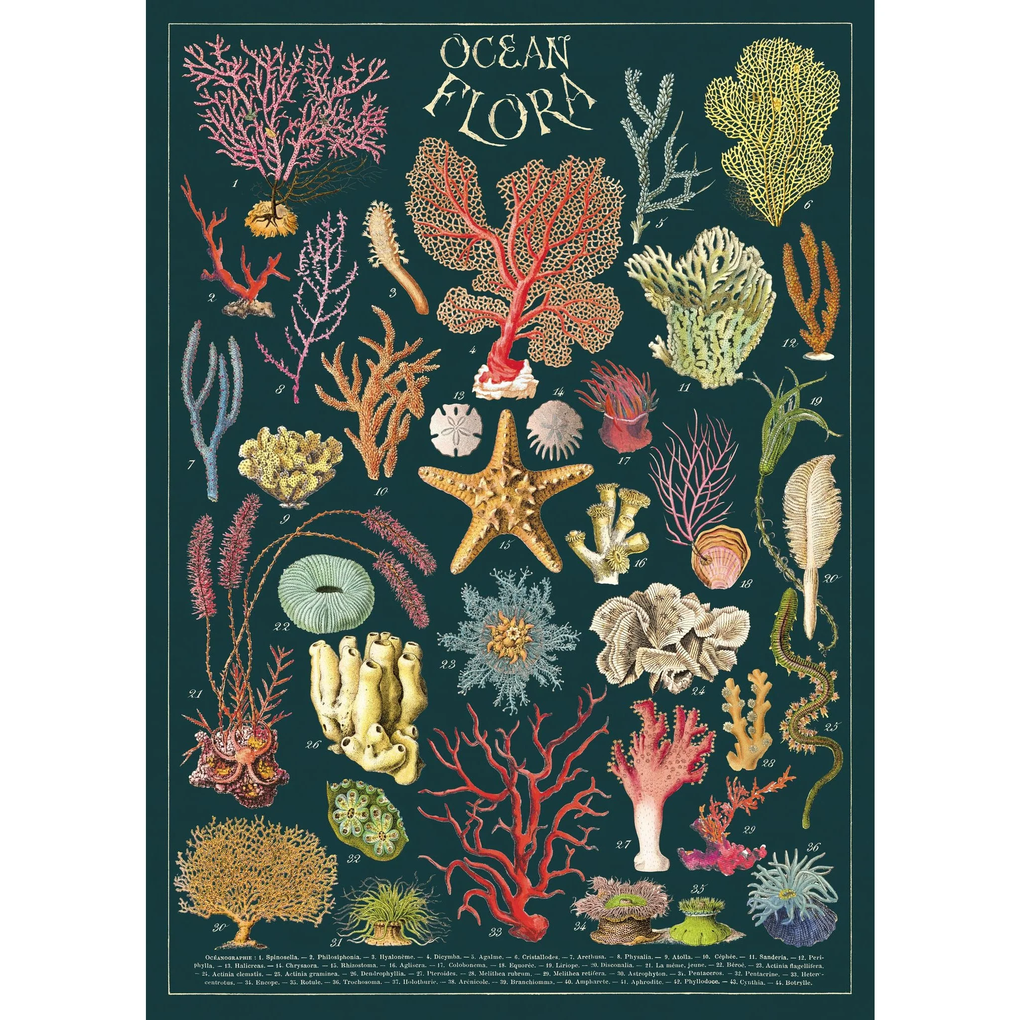 Cavallini & Co. Wrap - Ocean Flora