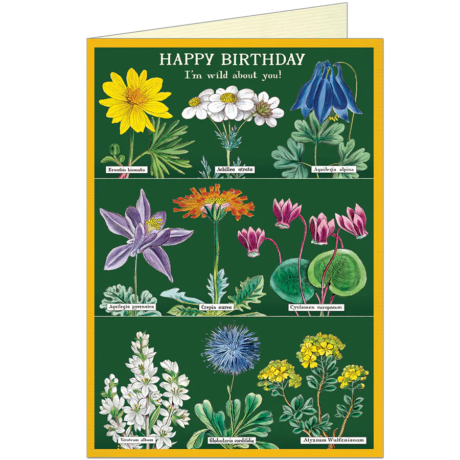 Cavallini & Co. Greeting Card - Happy Birthday Wildflowers