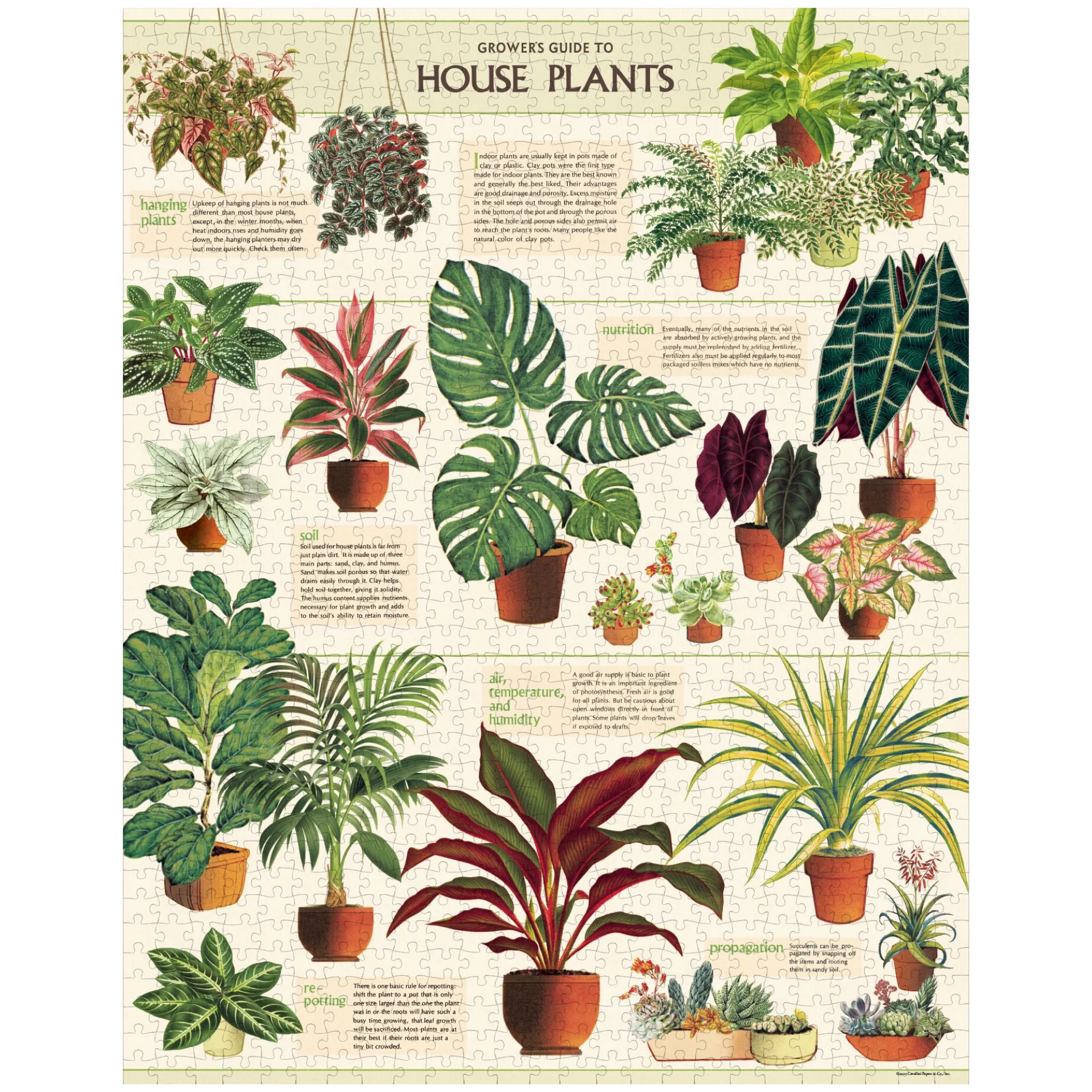 Cavallini & Co. 1000 Piece Puzzle - House Plants - Image 2