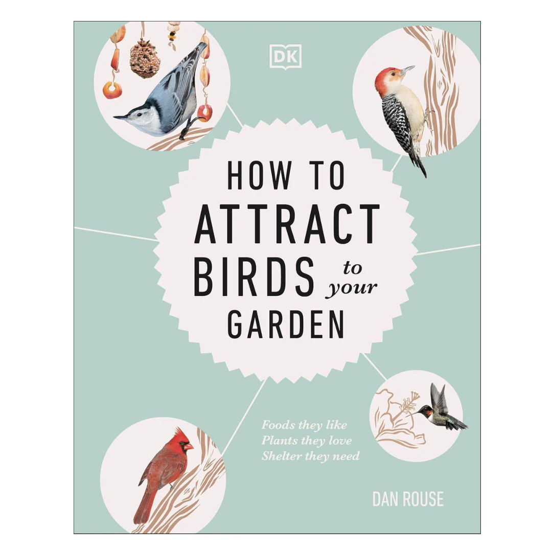 How to Attract Birds to Your Garden: Foods they like, plants they love, shelter they need