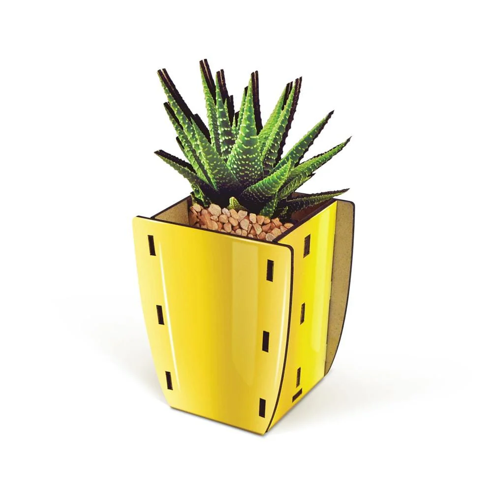 Pop Plants - Aloe Pencil Holder