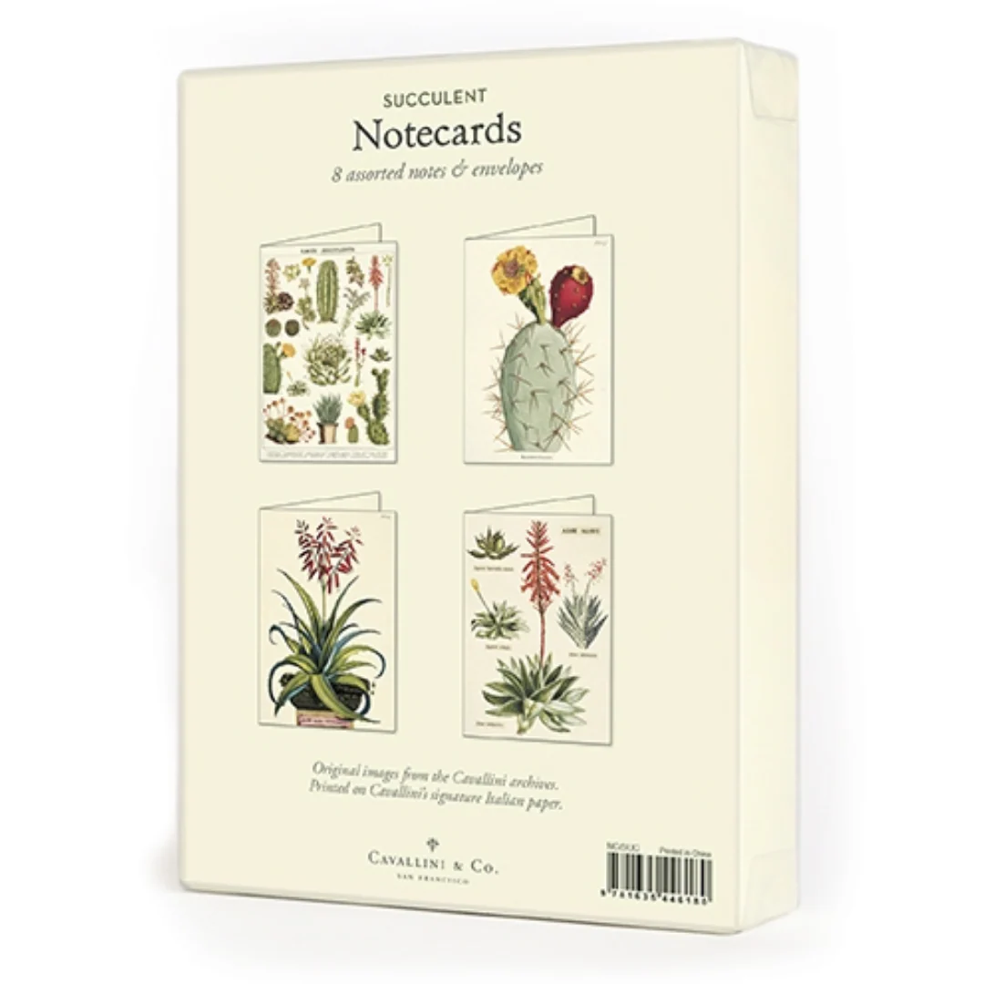 Cavallini & Co. Boxed Note Cards - Succulents - Image 2