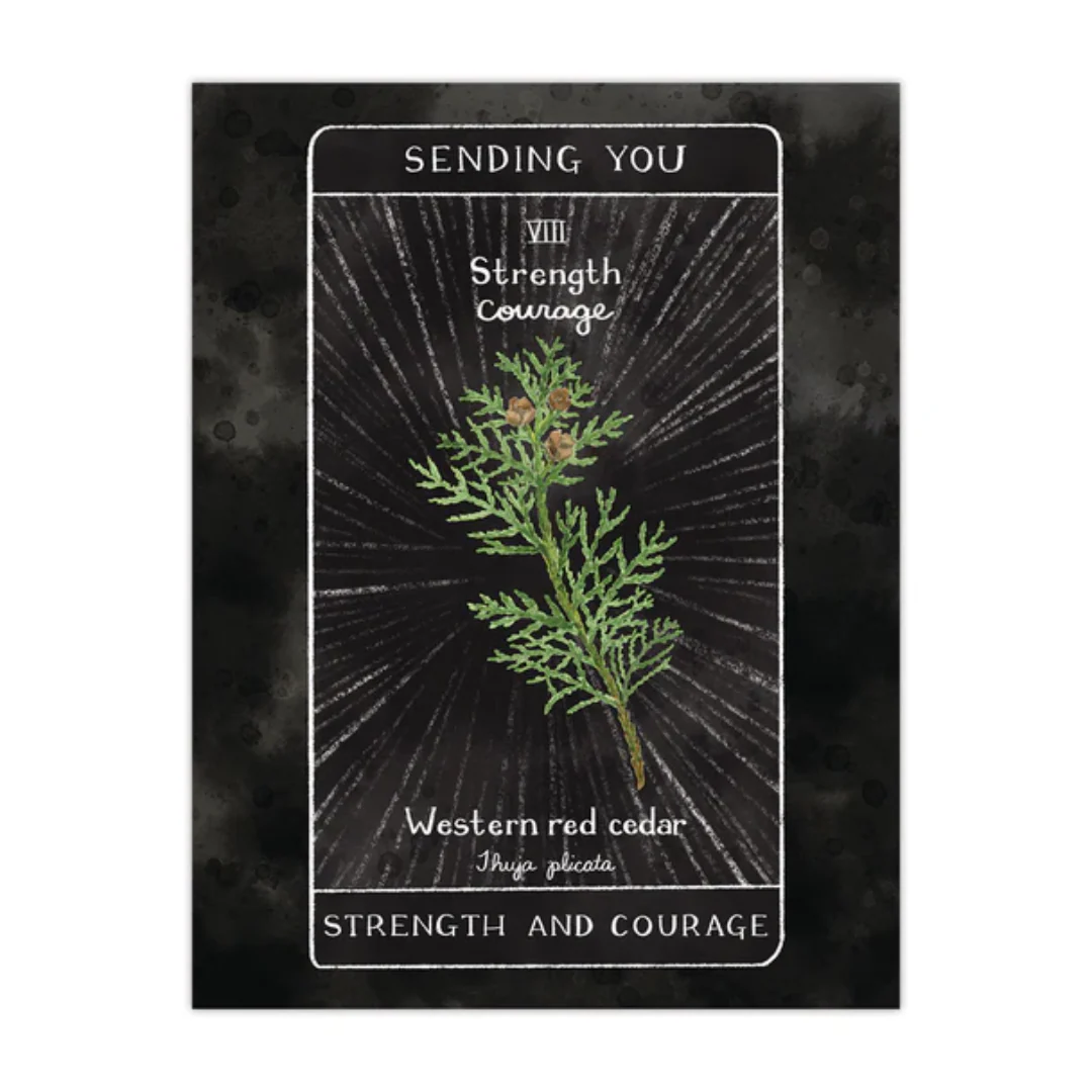 Tarot Strength Encouragement Card