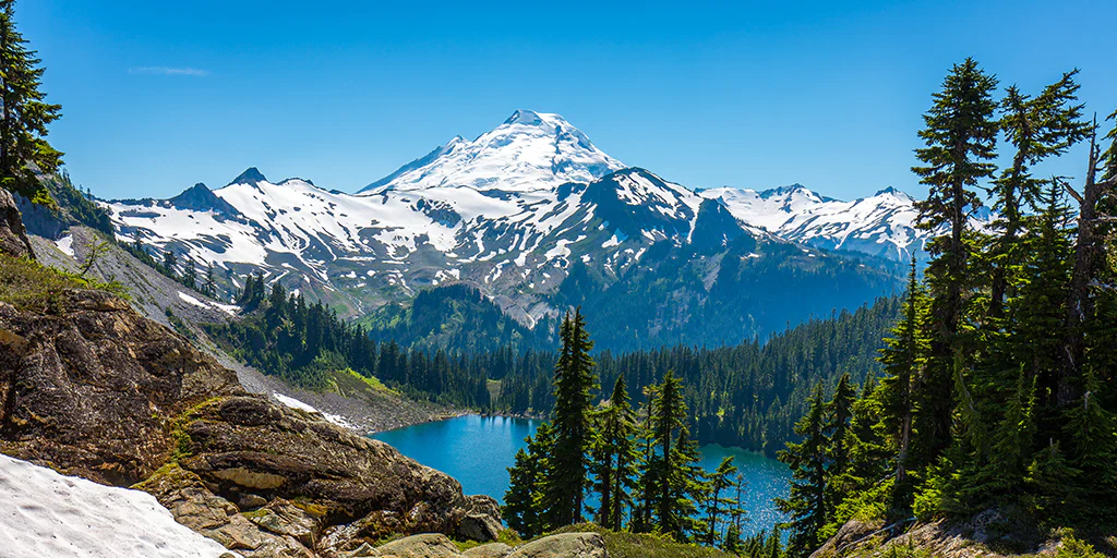 The Mountain Pint - Mt. Baker - Image 2