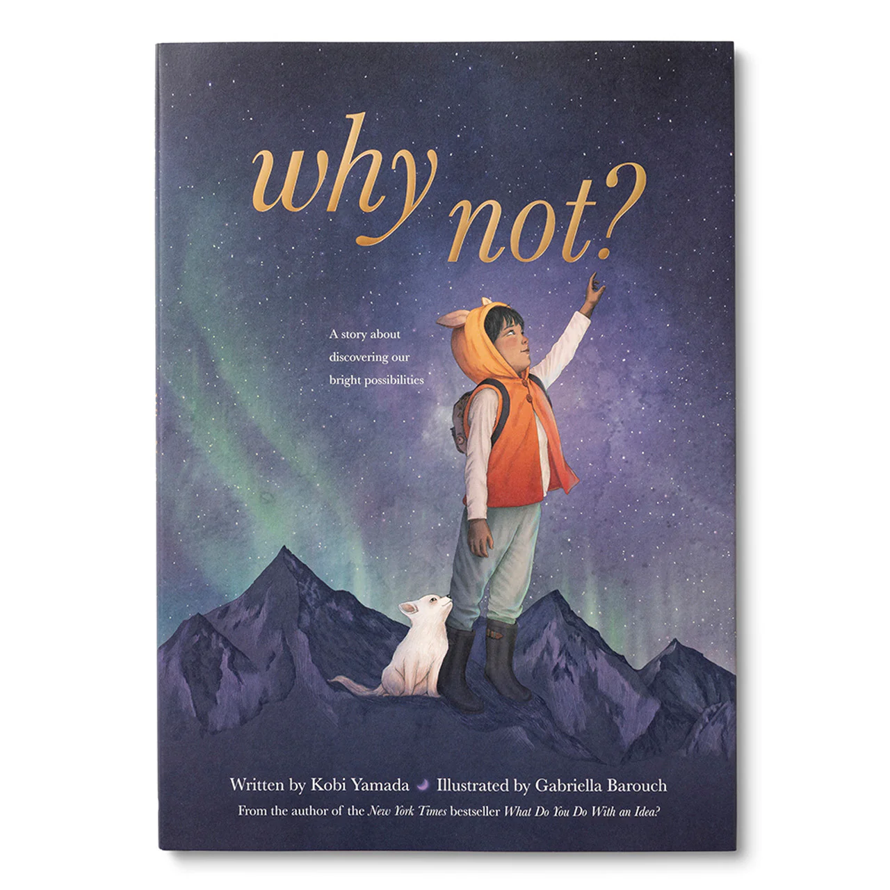 Why Not? Book by Kobi Yamada